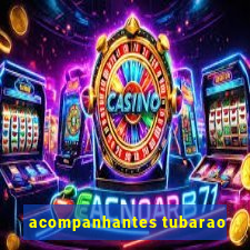 acompanhantes tubarao